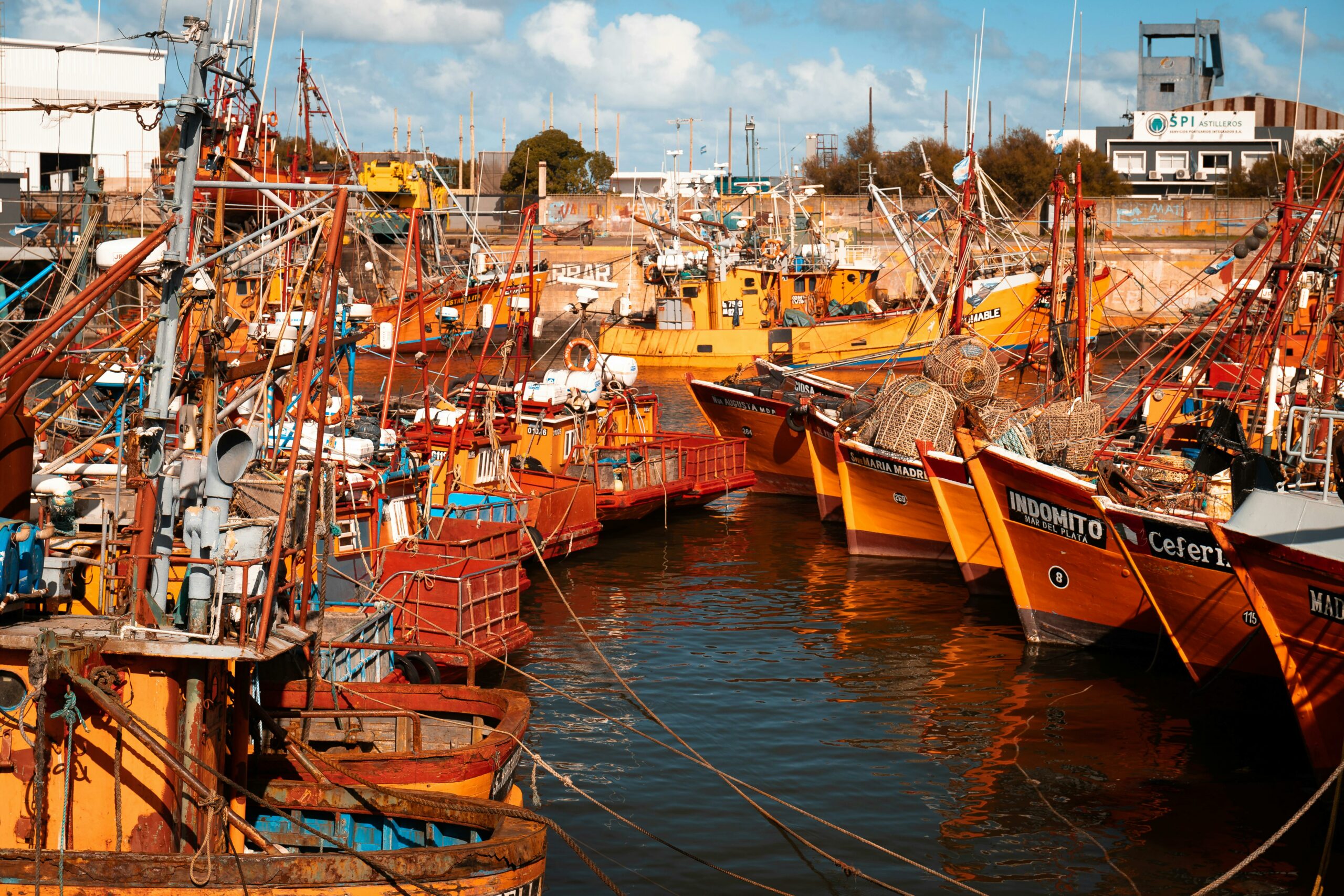 Los secretos del puerto de Mar del Plata